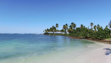 una vista lateral de una playa tranquila en el corazón del caribe