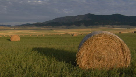 large bales of hay sit in a large green field