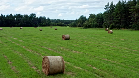 low-level aerial flying farming field with round bales of straw - dolly shpt