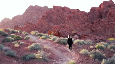 slow motion shot of female hiker at sunset in valley of fire state park, nevada, usa