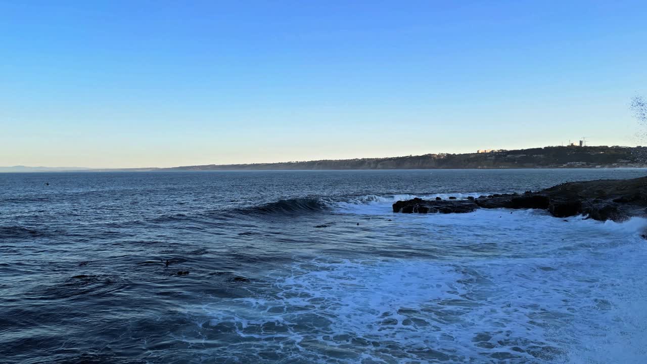 왕의 조수 동안 캘리포니아 라호야의 전경에서 파도가 튀는 아침 일찍 놀고 점프하는 바다 사자의 드론 샷