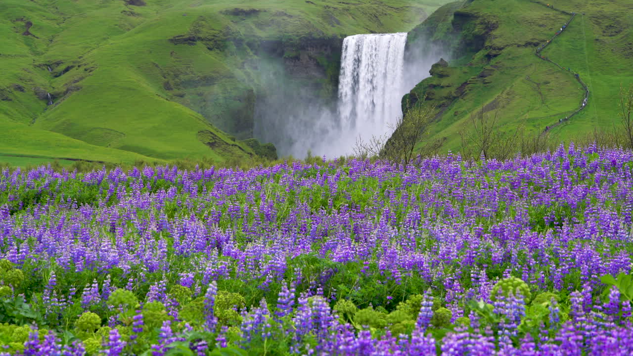 la cascada de skogafoss en islandia en verano.
