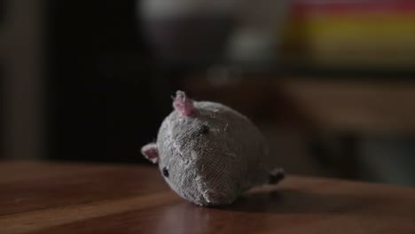 gatito descarado aparece fuera del marco para golpear el juguete de la mesa, gato mascota juguetón