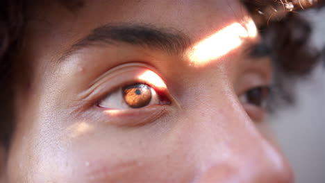 close-up of man's eye with sunlight reflecting, showing detailed iris pattern