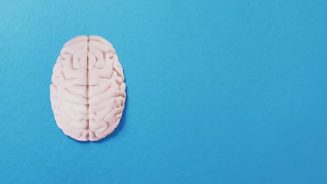 overhead video of white brain on blue background with copy space