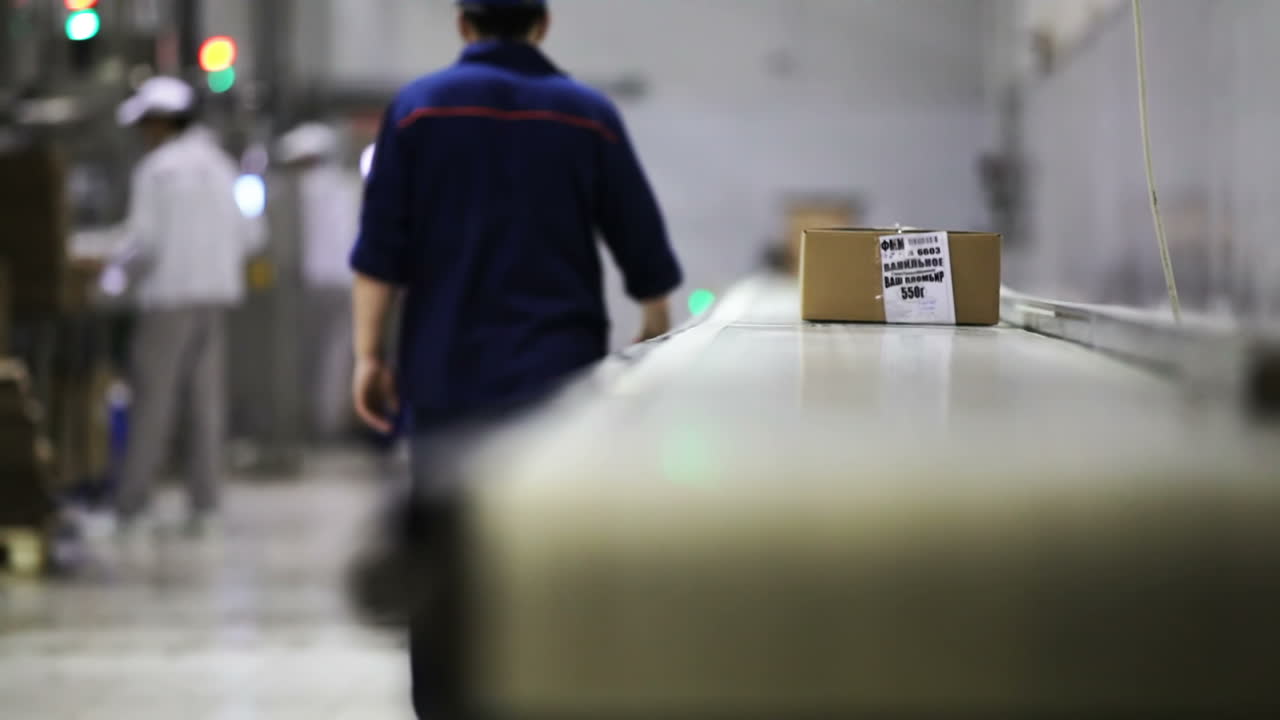 Carton box on the working belt