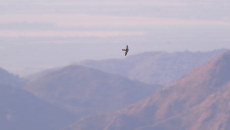 Deslizándose-Rápidamente-Por-El-Paisaje-Con-El-Fondo-De-Las-Poderosas-Montañas-De-Los-Andes.