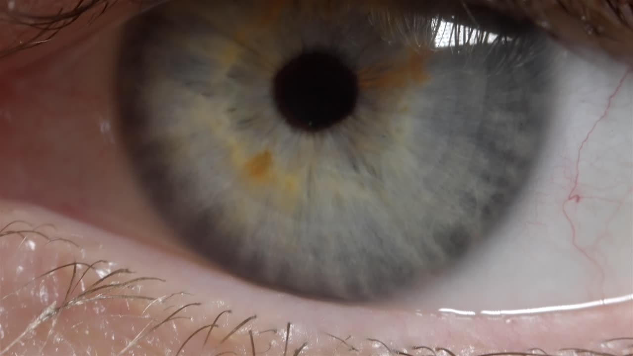 Human Vision and Sight Concept Close Up