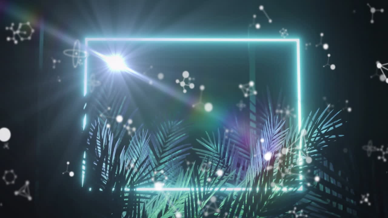 Glowing particles and palm leaves in neon frame on dark background animation
