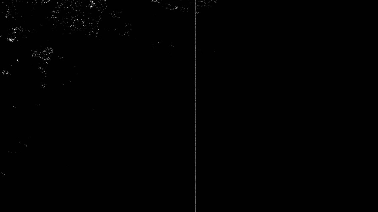 Abstrakter Schwarz-Weiß-Rausch- und Statik-Overlay-Effekt
