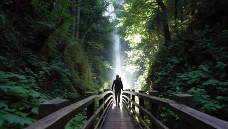 hiker on a bridge in a lush forest with a waterfall
