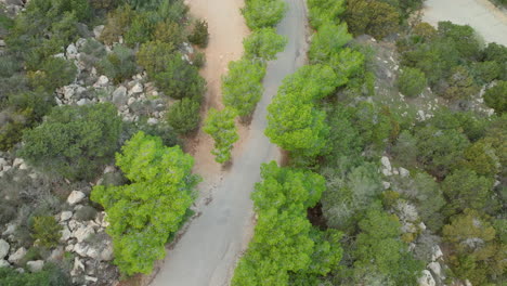 Aerial-view-of-a-winding-road-through-a-lush-green-forest