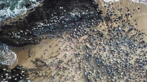 Aerial:-Birds-eye-view-over-a-pebbled-beach-slowly-rises-to-reveal-the-ocean-next-to-the-Captain-Cook-Highway-in-Far-North-Queensland