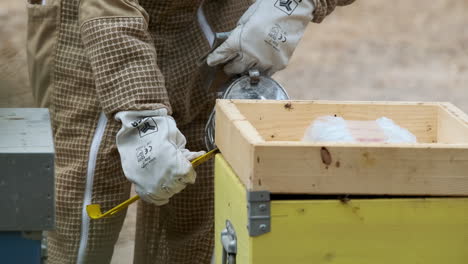 closeup of beekeeper apiarist opening beehive box with the help of bee smoker