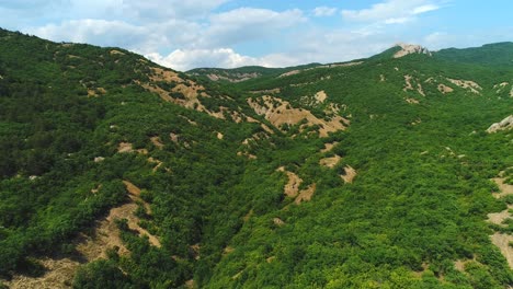 mountainous forest landscape