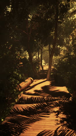 el camino de la selva serena