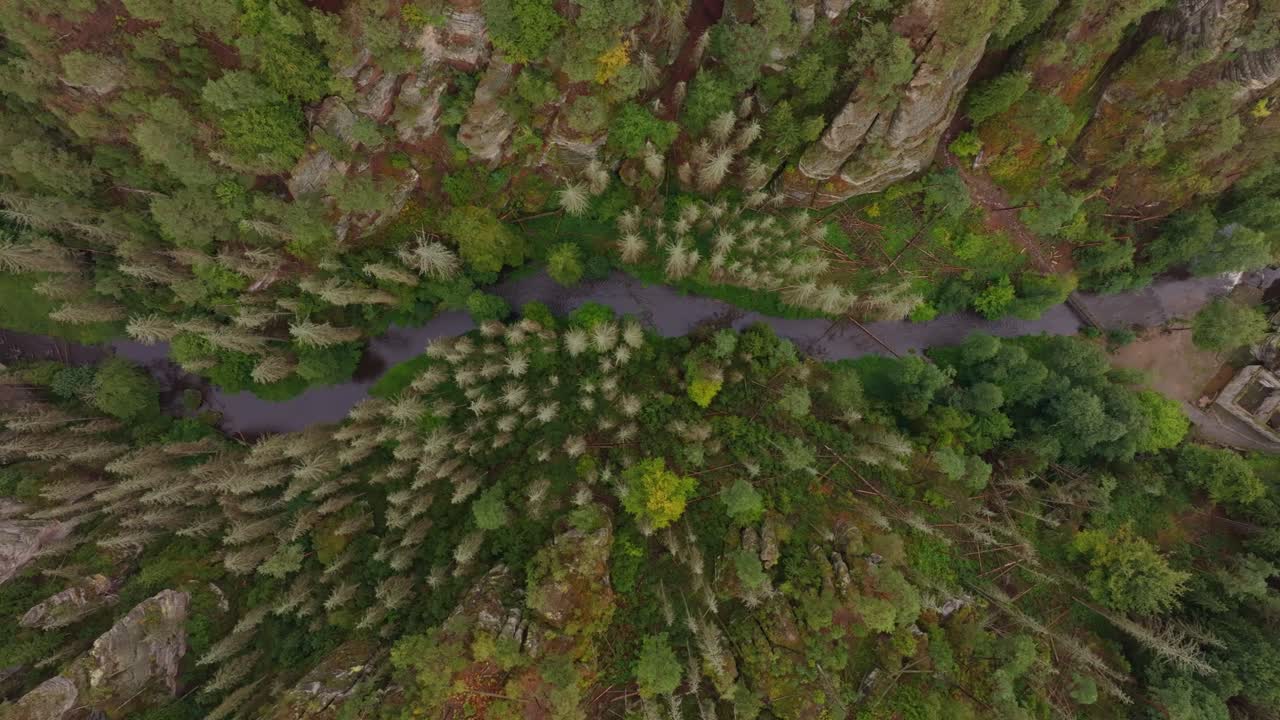 Tjekkiets Dolsky Mlyn, en forladt mølle i frodig skov ved floden