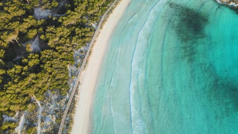 Drone-flying-over-hidden-beach-at-sunset-in-Spain-with-golden-glow-against-white-sand-dunes-and-forest-trees