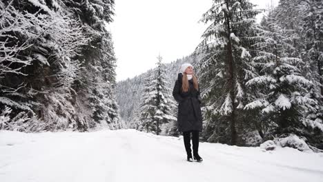 young beautiful girl walks in the woods in winter young beautiful girl walks in the woods in winter the girl walks down the road in the mountains