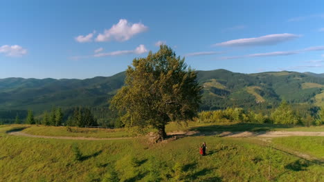 woman with musical instrument outdoors. musician on a green hill near the big tree on mountains background. performer in mountainous place in summer. aerial view.