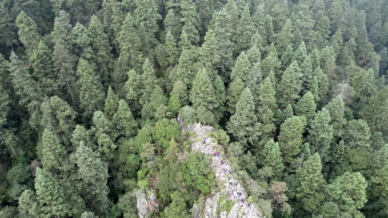 toma de drones hacia atrás del espeso bosque que rodea el sur de la ciudad de méxico y sus alrededores.