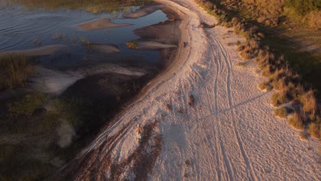 vista trasera de una persona aislada e irreconocible caminando por la orilla arenosa de la laguna negra en uruguay