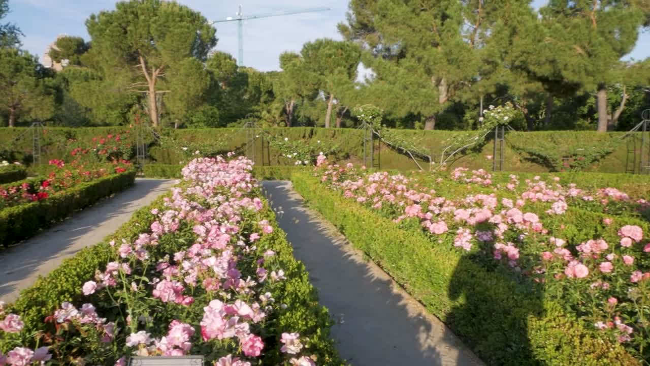 Romantic flower beds filled with different colors of roses in La Rosaleda. Beautiful and colorful garden scene.