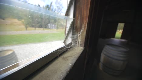 Tracking-Across-a-Barn-Window