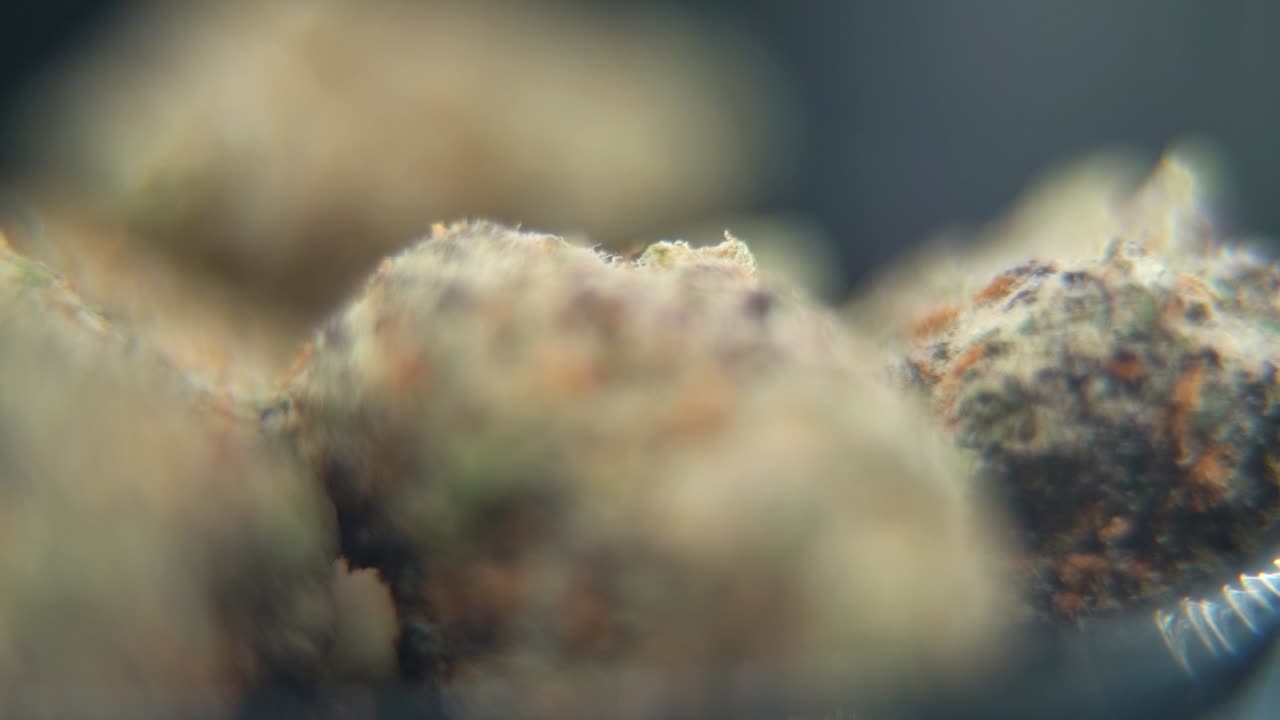 Macro di cime di cannabis di alta qualità che ruotano su un supporto a 360 gradi, mettendo in risalto tricomi viola, colori vivaci e dettagli raffinati. Perfetto per promuovere prodotti di cannabis Premium a 120 fps