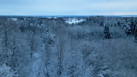 Paisaje-De-árboles-Desnudos-Cubiertos-De-Nieve-Durante-La-Temporada-De-Invierno-En-Pieszkowo-Polonia---Descenso-Aéreo