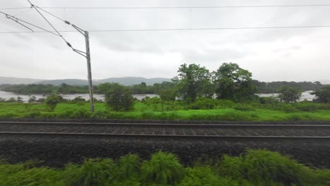 greenery view from train window
