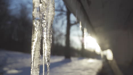 snow and icicles hanging from roof at sunset