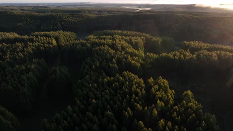 Sunrise-in-the-Uruguayan-countryside,-smooth-drone-flight