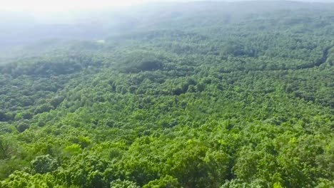 drone slowly flying over some trees and mountains in portugal