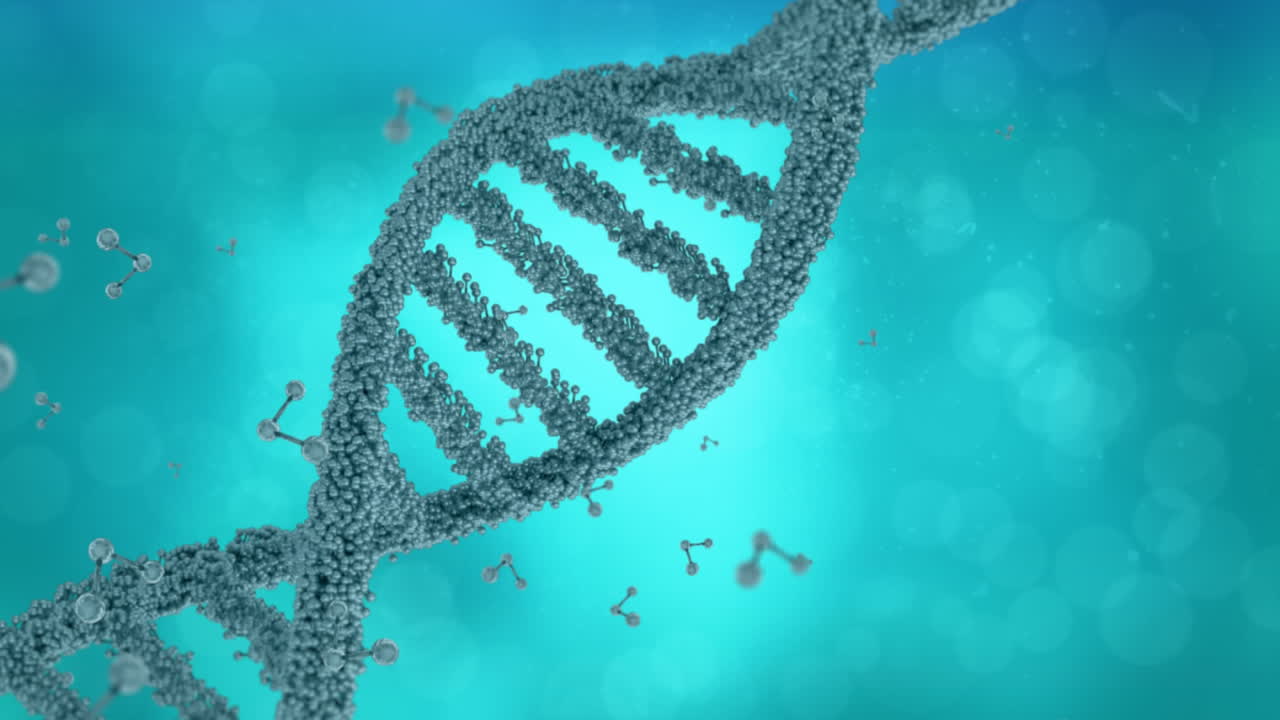modelos de doble hélice y moléculas de adn