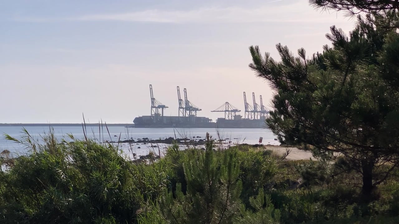 Ön planda çam ağacı ve yeşil çalılar, ufukta bir nakliye limanında faaliyet gösteren büyük kargo gemileri ve endüstriyel vinçler.