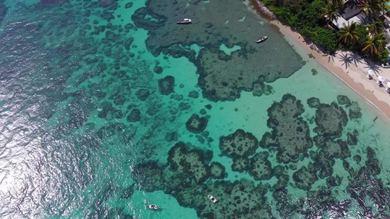 Aerial video captures a stunning beach with turquoise waters and coral formations