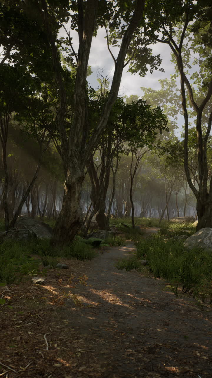 un hermoso camino del bosque