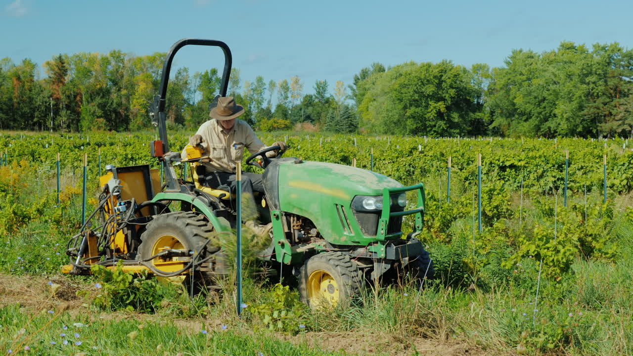 un agricultor trabaja en un pequeño tractor arranca malas hierbas cerca del viñedo