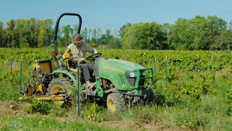 a farmer works on a small tractor uproots weeds near the vineyard