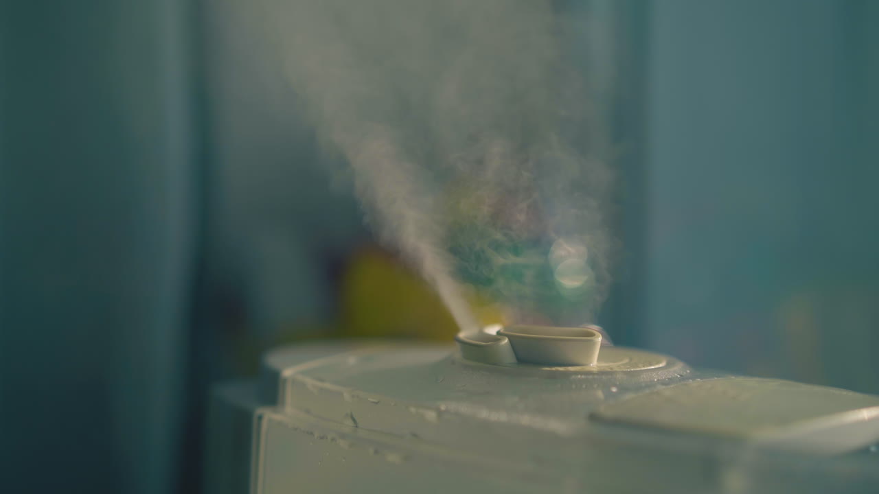 공기를 습화하는 데 사용되는 습한 증기 구름을 가진 가정용 공기 이온화기