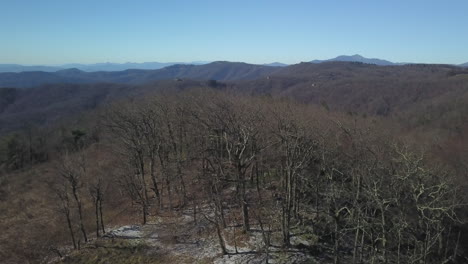 Vista-De-La-Copa-De-Los-árboles-Desde-Un-Dron-A-Lo-Largo-De-La-Cresta-De-Las-Montañas-De-La-Cordillera-Azul-En-Un-Día-Claro-De-Invierno