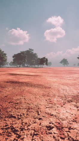 a red dry desert landscape with cracked earth and trees