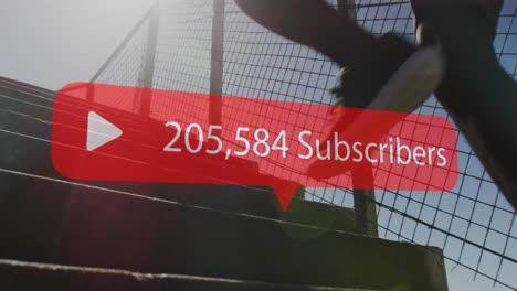 animación de los suscriptores de las redes sociales notificación, sobre el hombre entrenamiento subiendo escalones en el sol