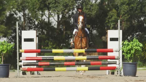 Hombre-Afroamericano-Saltando-Un-Obstáculo-Con-Su-Caballo-De-Doma