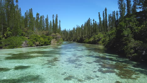 la laguna y su agua cristalina fluye hacia la piscina natural de oro, isla de pinos