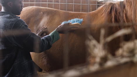 a handsome man brushing a brown horse