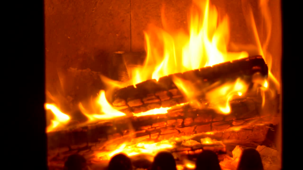 불꽃으로 불타는 나무