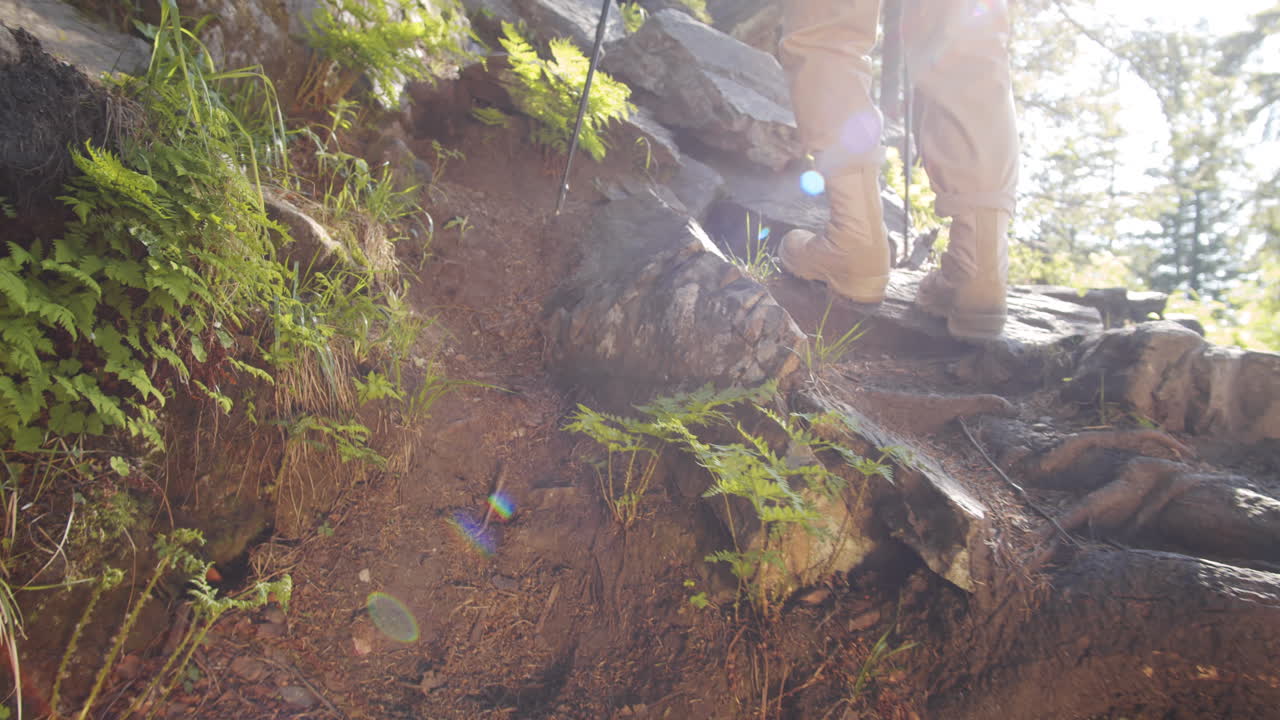 바위 지형 을 산책 하는 것