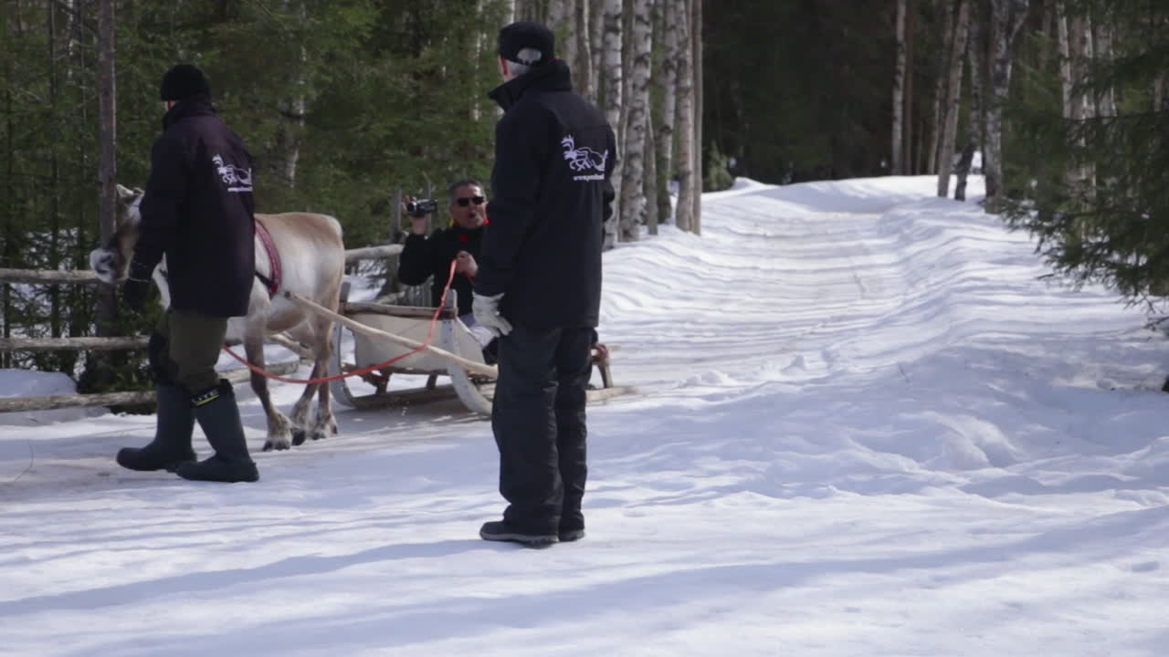 Reindeer pulling a sleigh through snowy forest as two people observe in Rovaniemi Finland